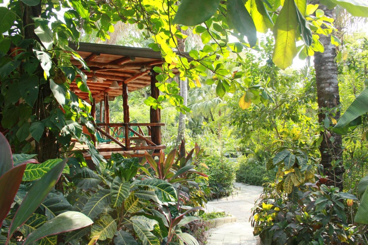 Hotel Guiones Nosara Dış mekan fotoğraf